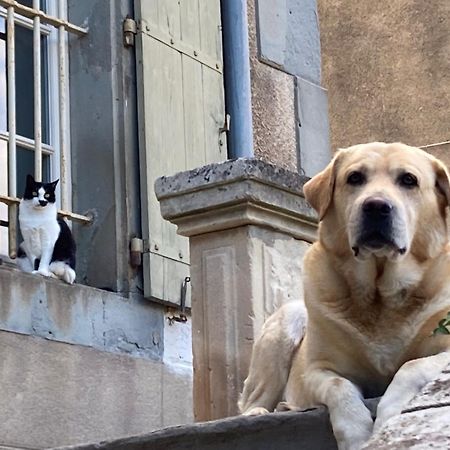 Chambres d'hôtes Le Clos de Vènes Saint-Couat-dʼAude Esterno foto