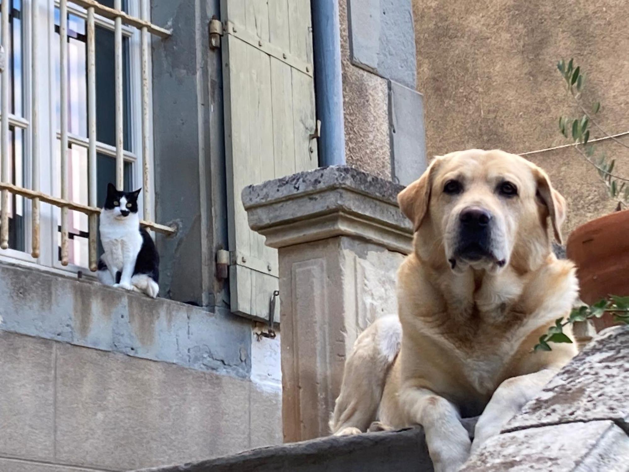 Chambres d'hôtes Le Clos de Vènes Saint-Couat-dʼAude Esterno foto