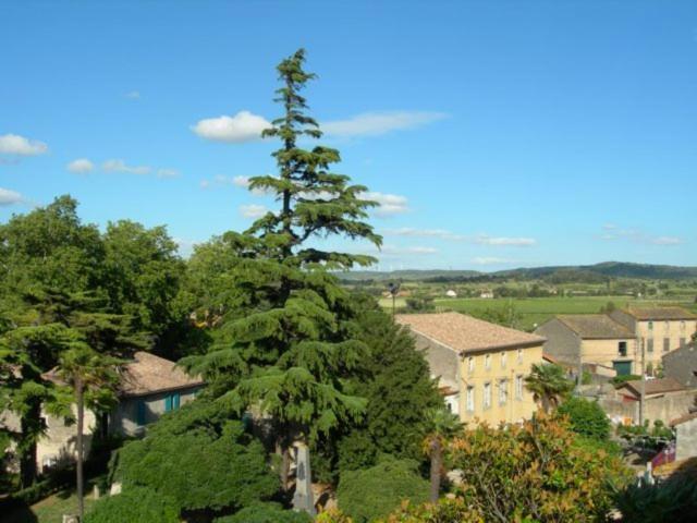 Chambres d'hôtes Le Clos de Vènes Saint-Couat-dʼAude Esterno foto